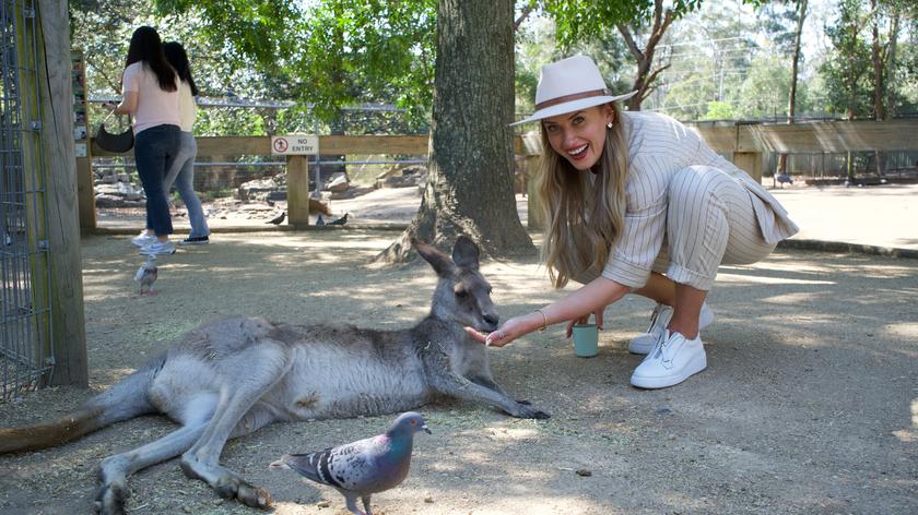Jestem z Polski: Jakie zwierzęta żyją w Australii?